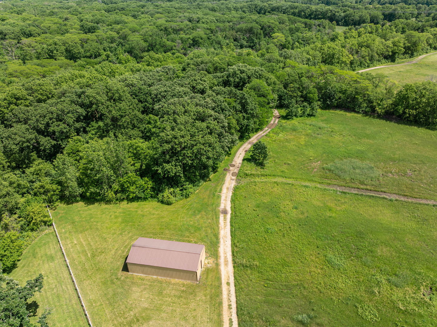 a view of a yard