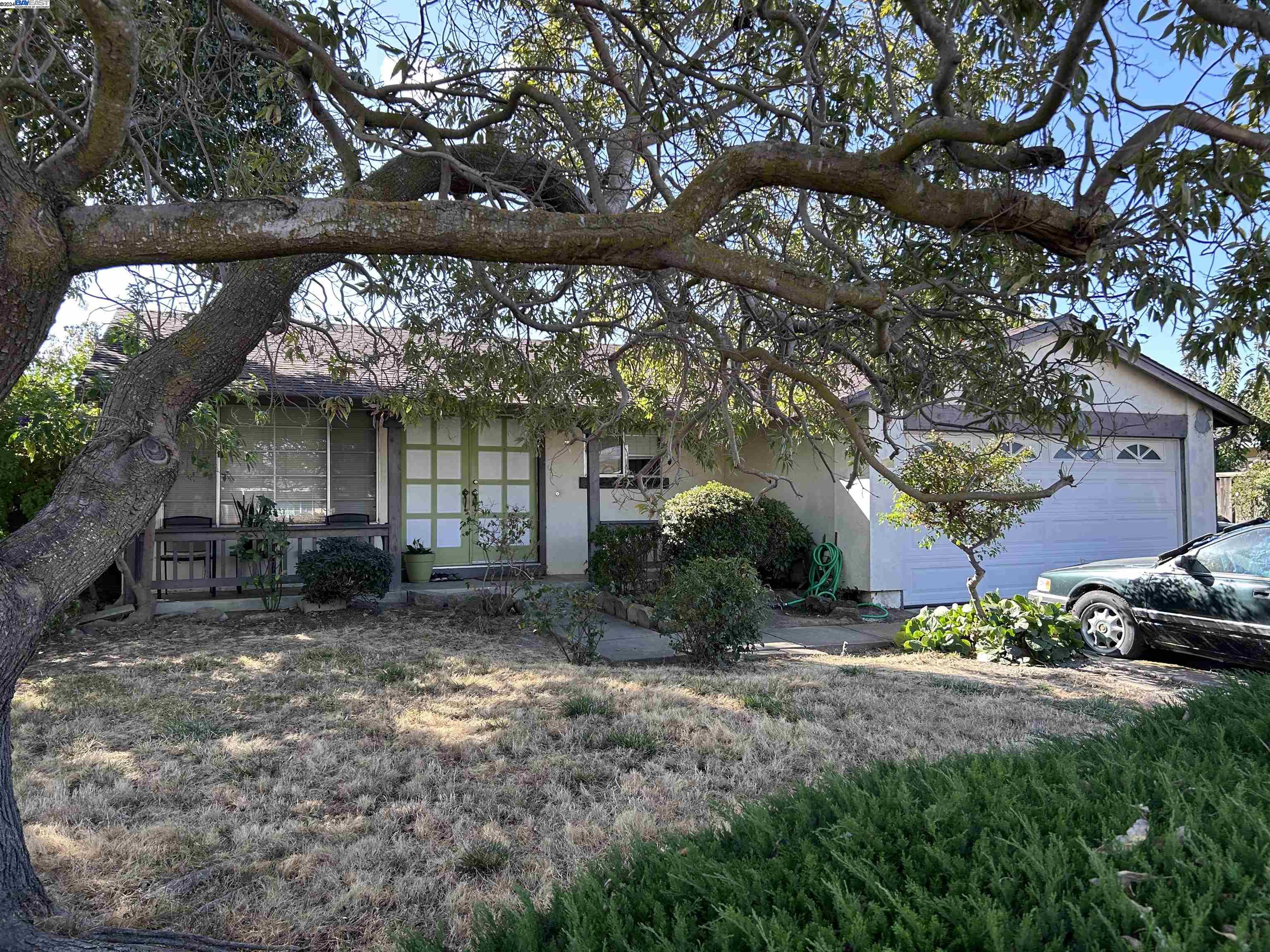 a view of a house with a yard and large tree