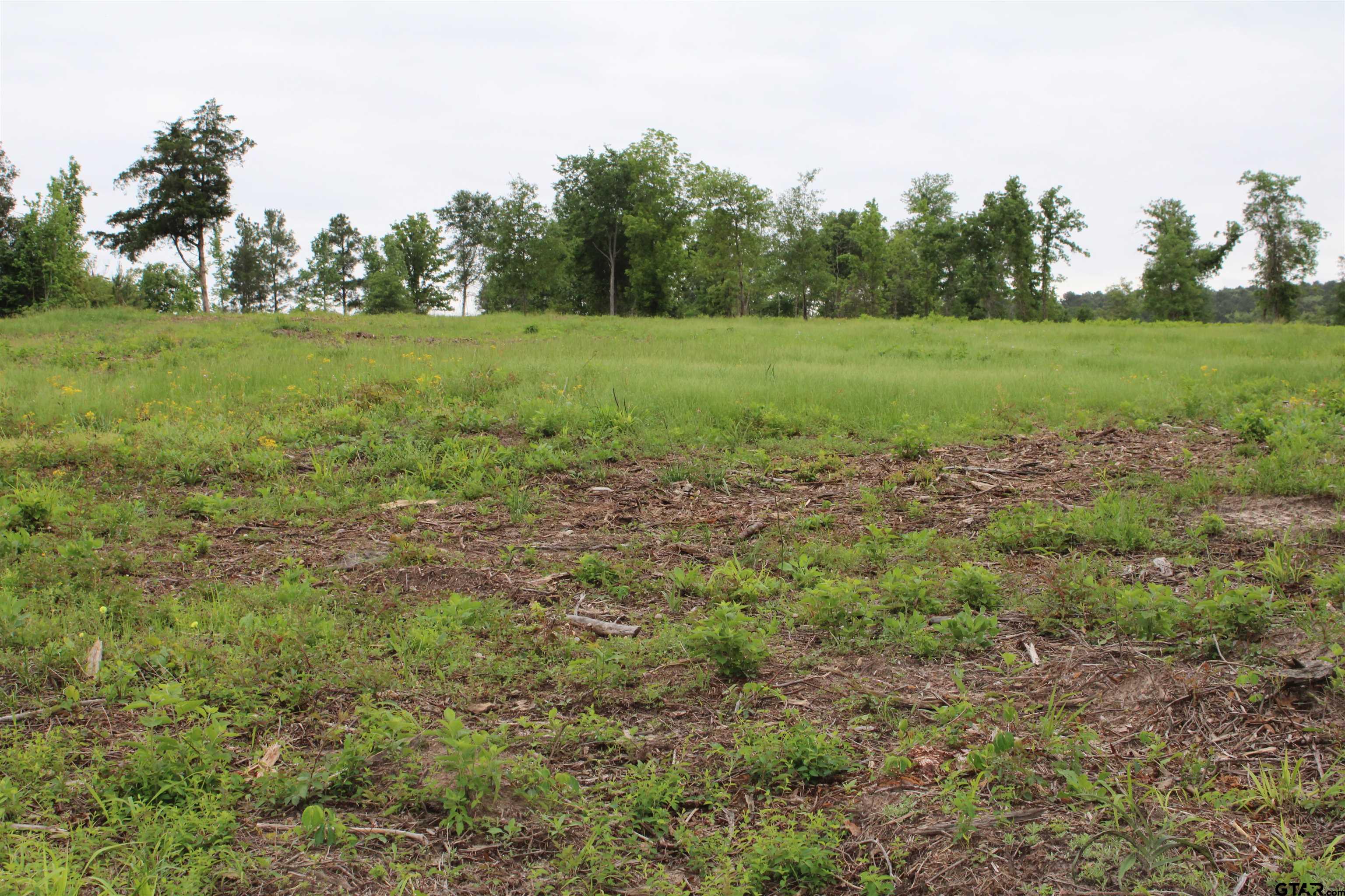 a view of a field with trees in the background