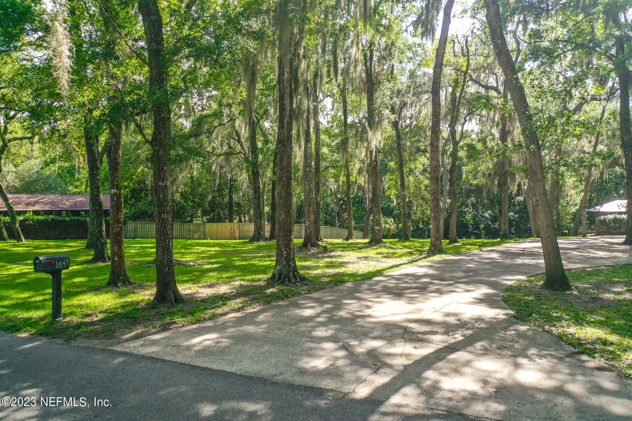 a view of a park with large trees