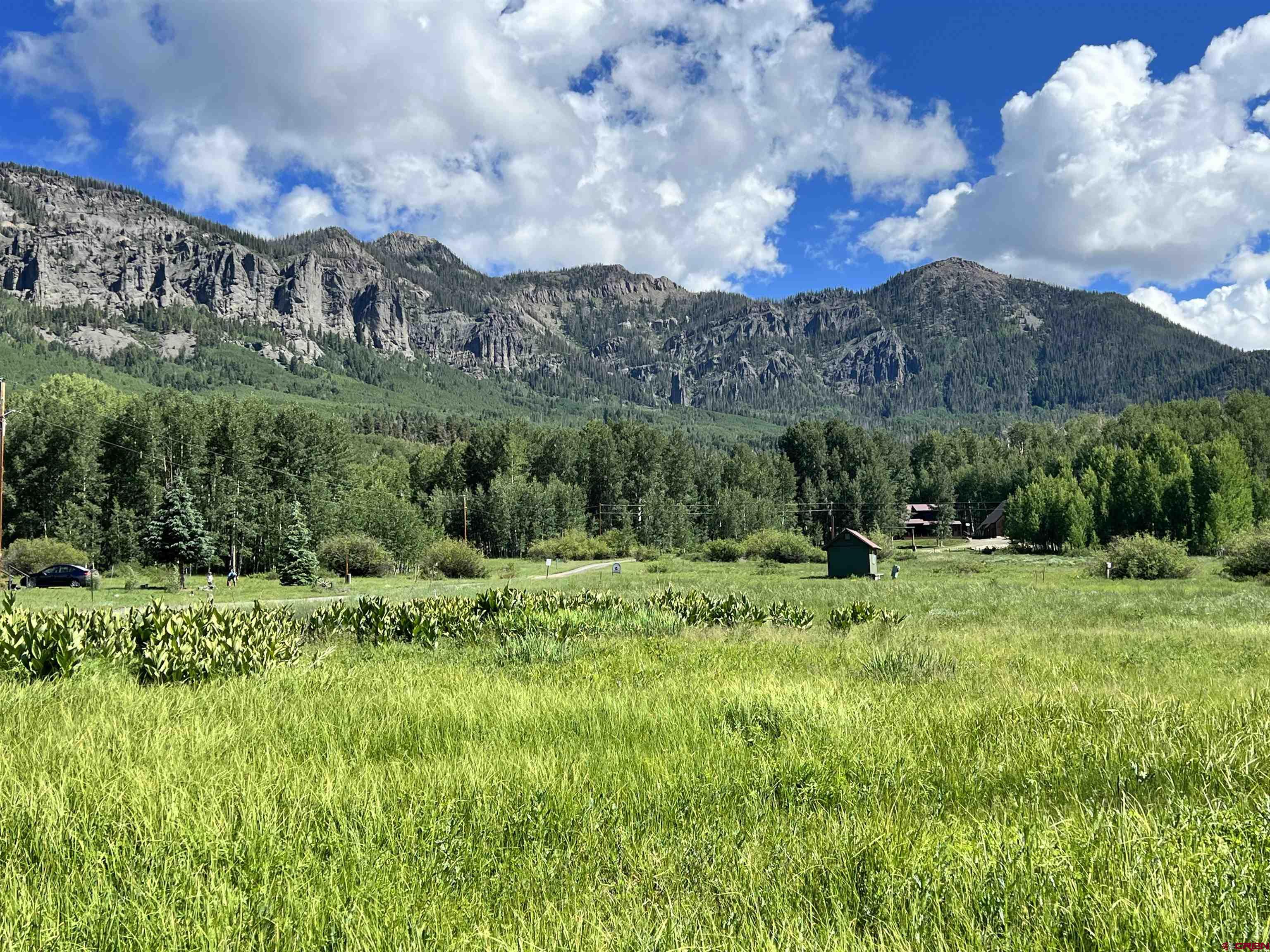 a view of a lush green forest with trees and houses