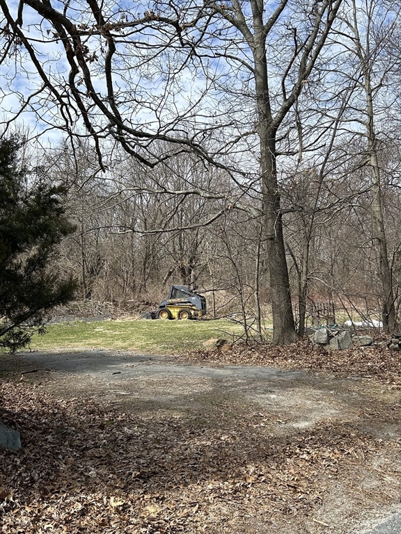 a view of a yard with a tree