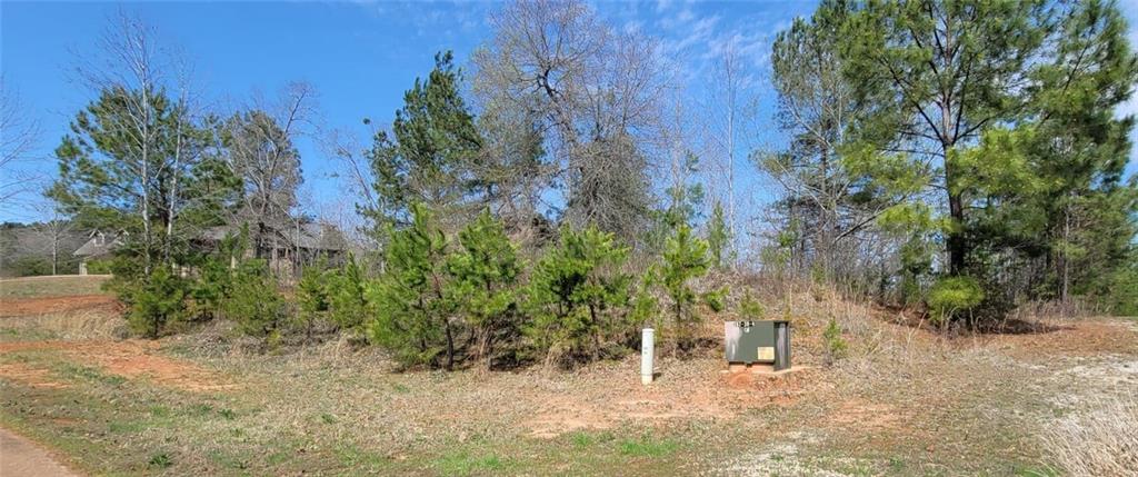 a view of a dry yard with trees