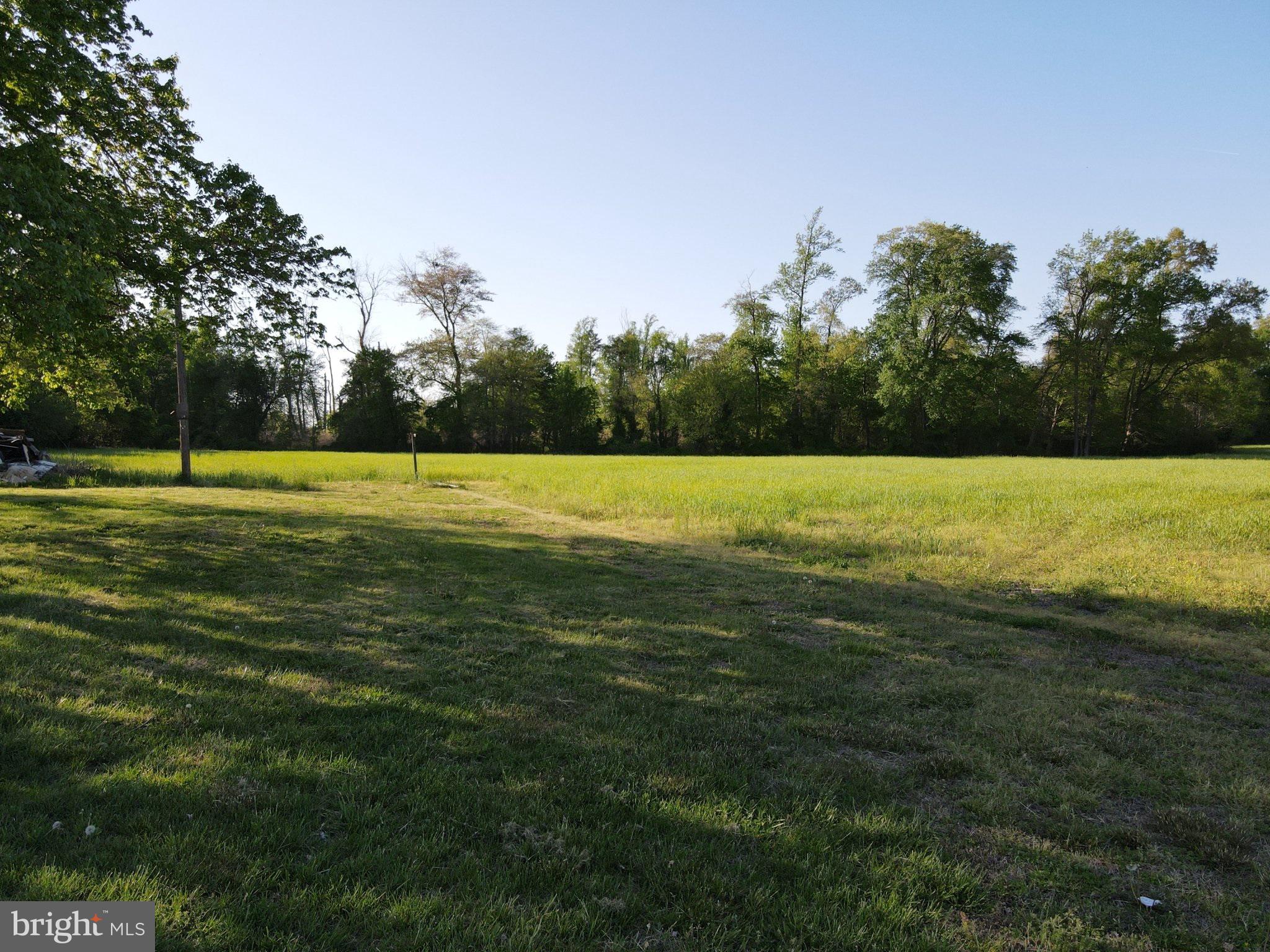 a view of a big yard with large trees