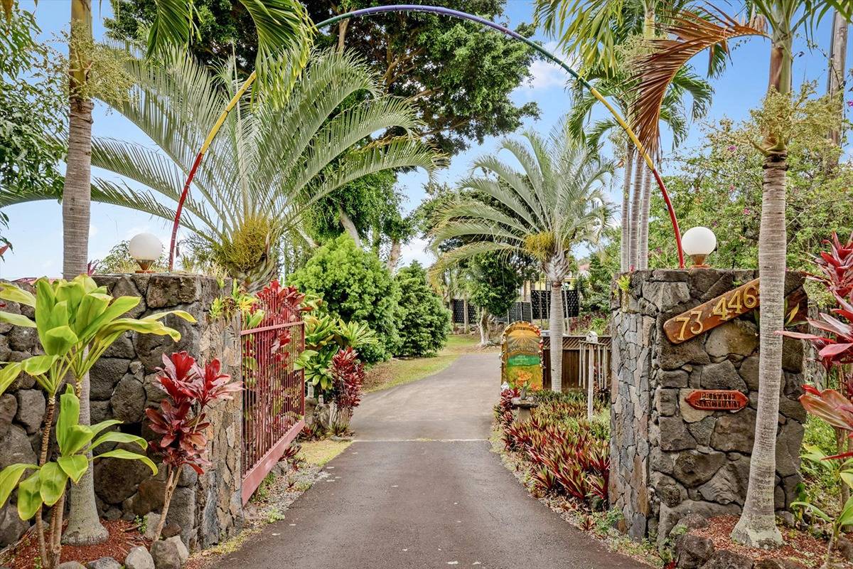 a view of path along with trees