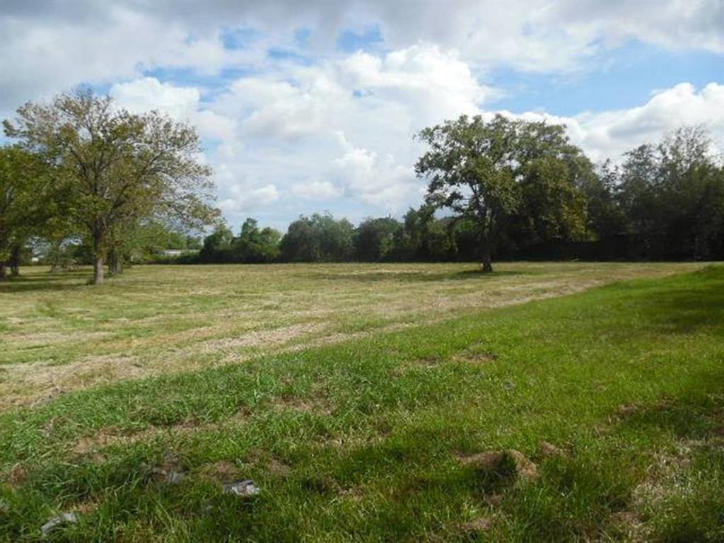 a view of a field with an trees in the background