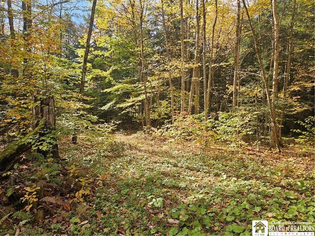 $295,000 | 0 Sawmill Run Road | Coldspring