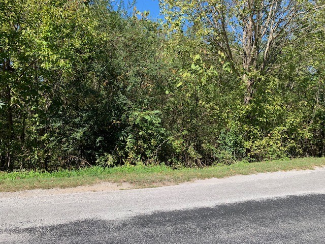 a view of a yard with a tree