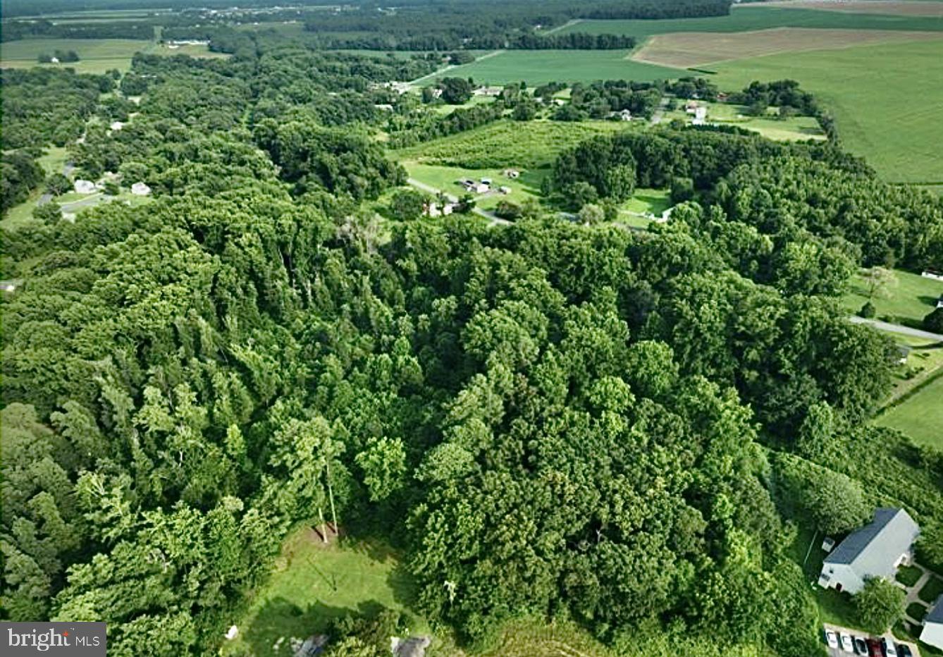 a view of a lush green space