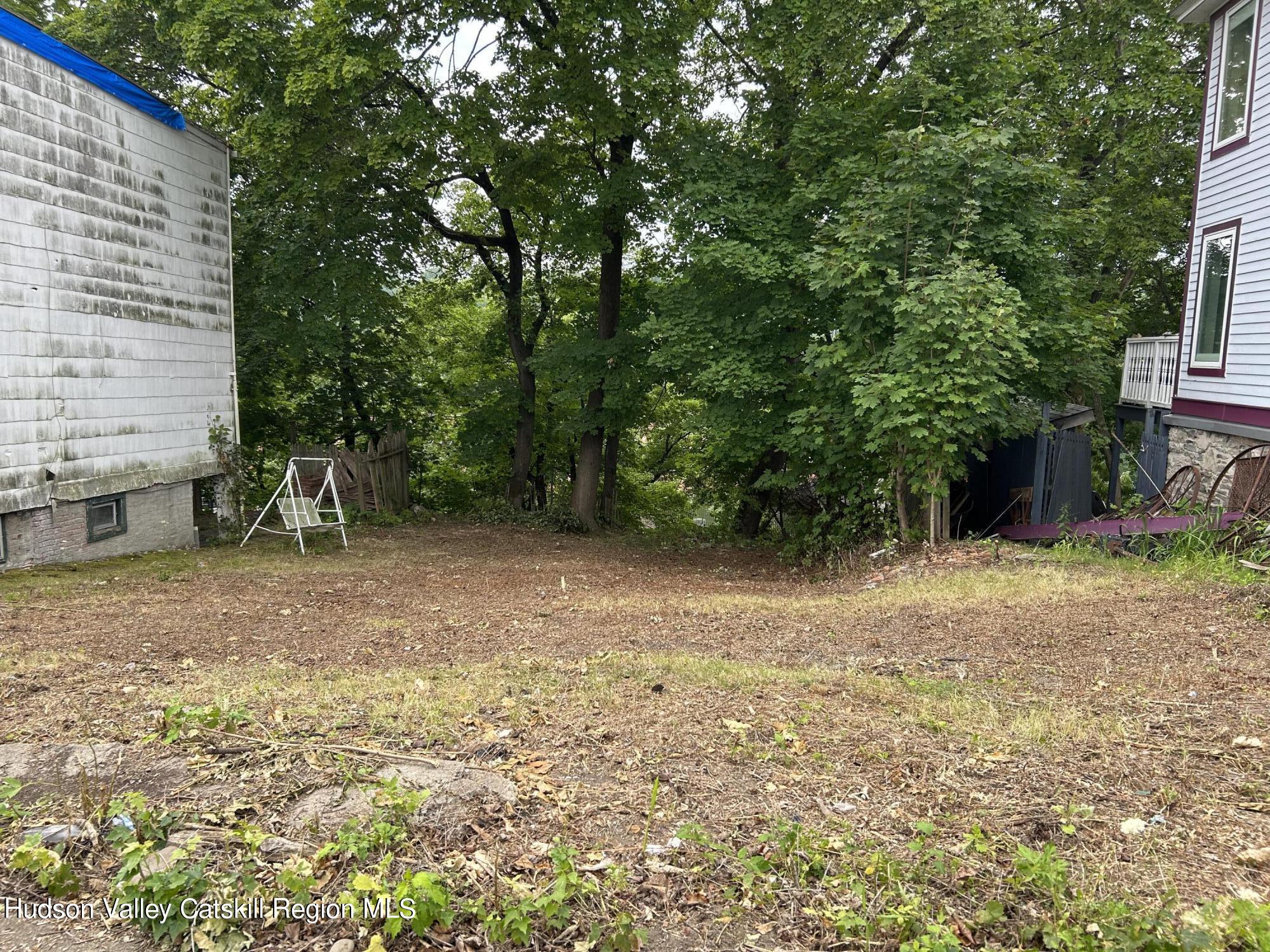 a view of a backyard with a tree