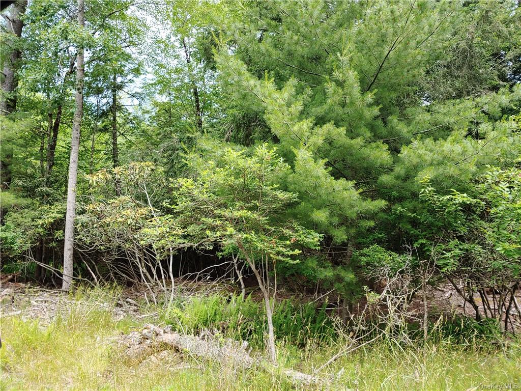 a view of outdoor space and trees