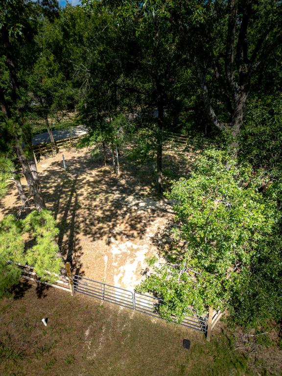 a view of a yard with a tree