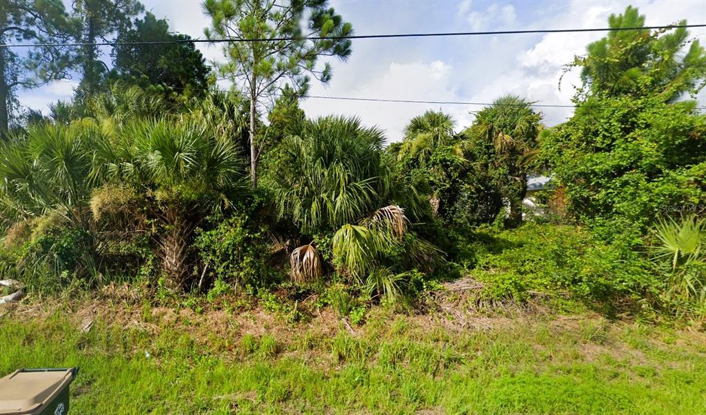 a view of a garden