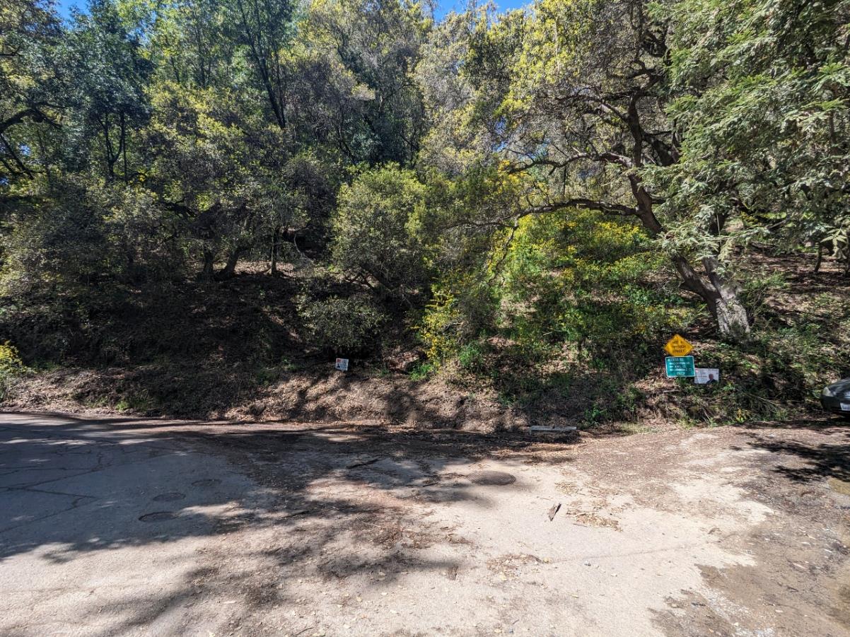 a view of a dirt road with trees