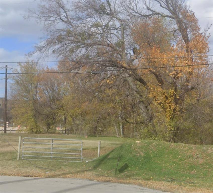 a view of a yard