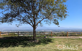 View from Back Patio