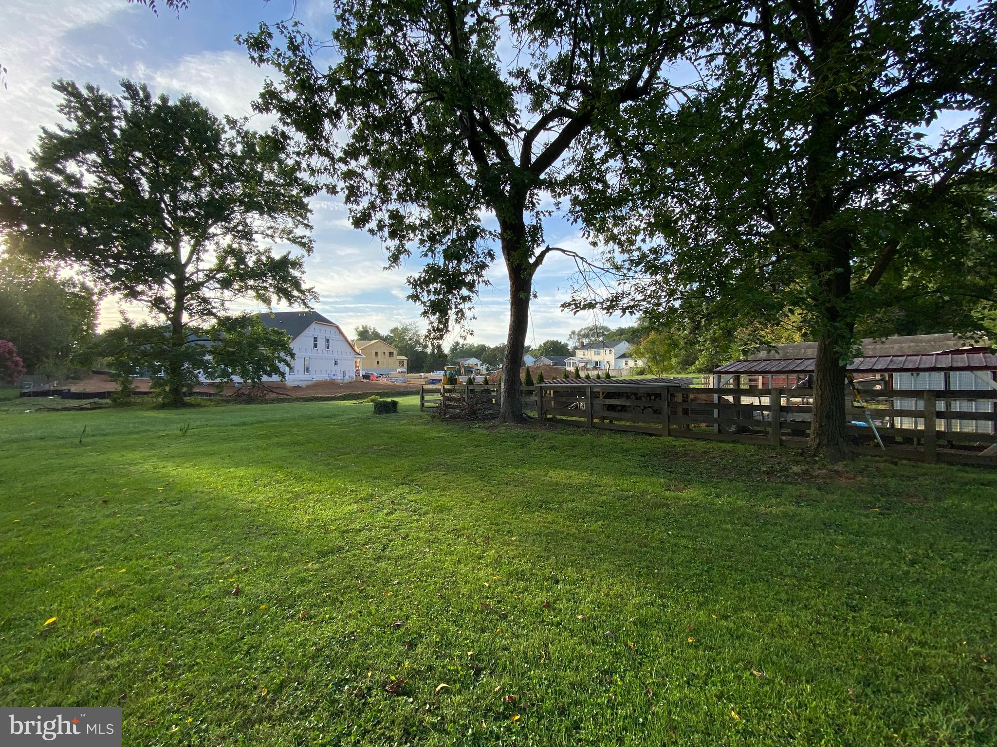 a view of a park with large trees