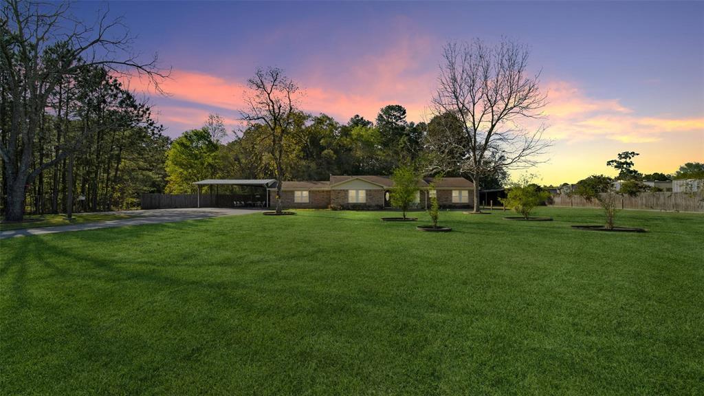 a backyard of a house with lots of green space