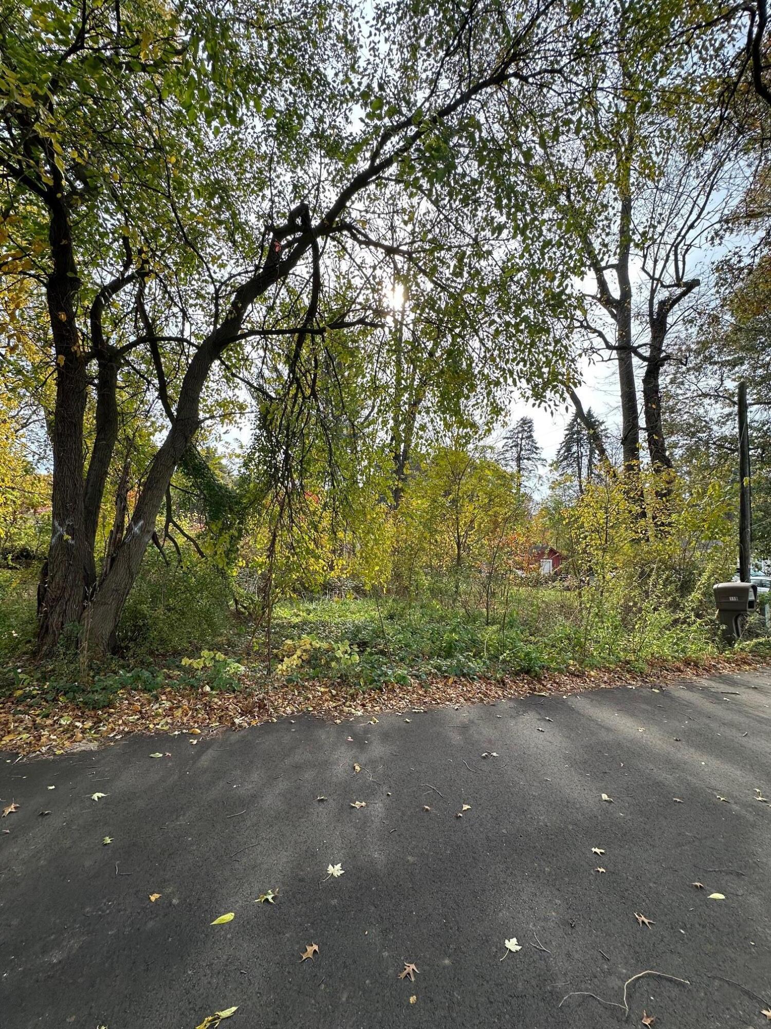 a view of a yard with plants and trees