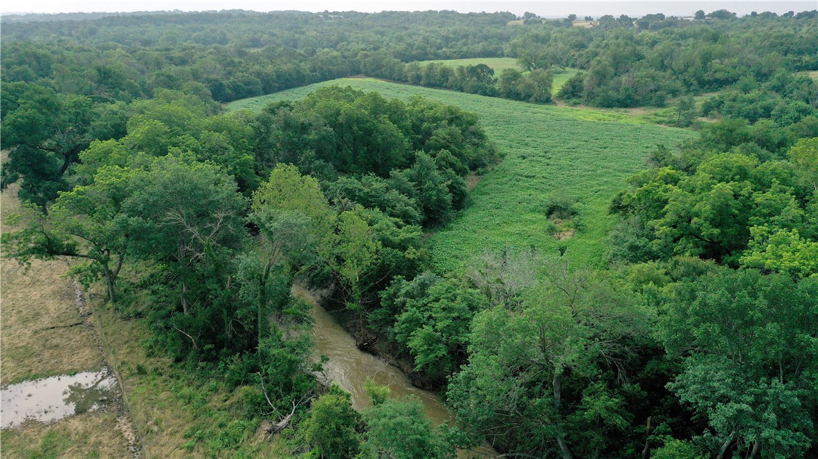 a view of a lush green forest with trees and some houses