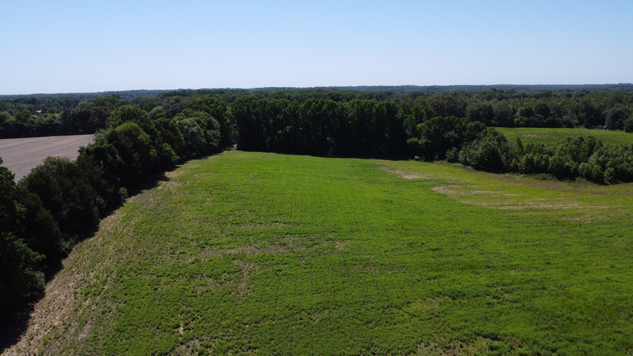 a view of a big yard with green space