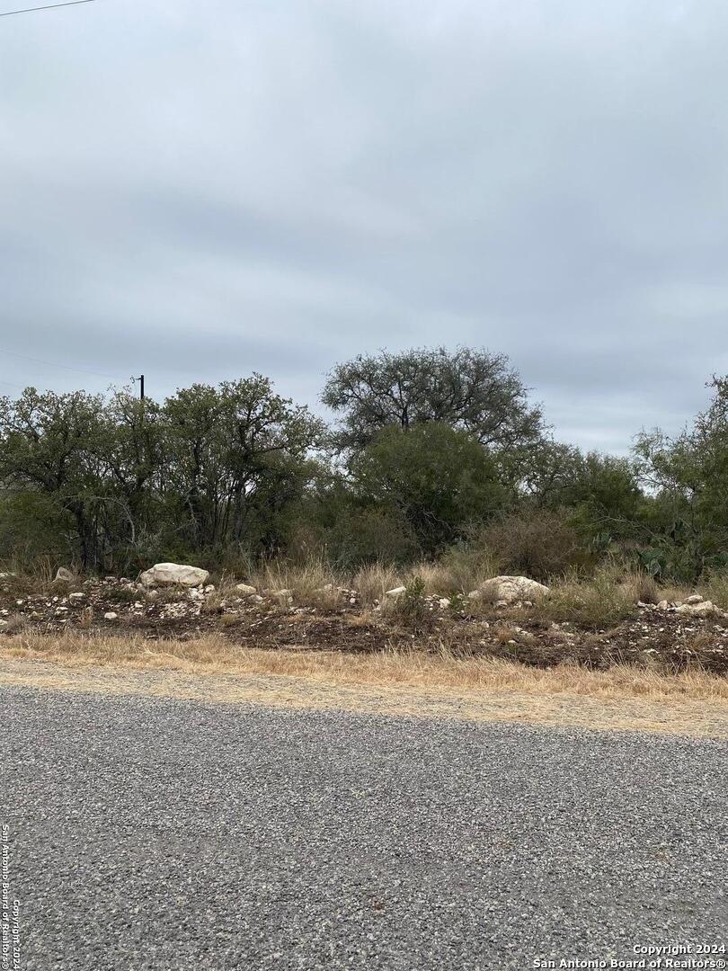 a view of dirt field with trees