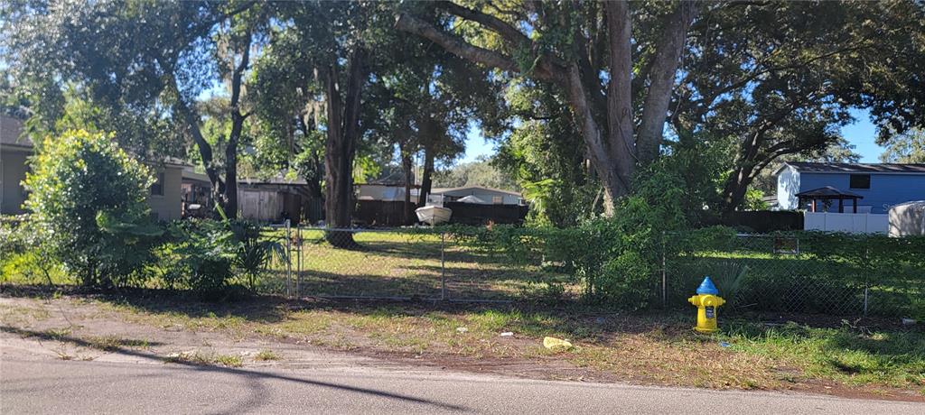 a view of a park with large trees