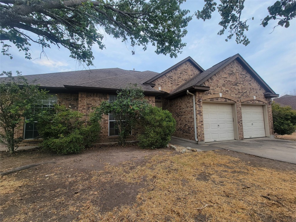 a view of a house with a yard plants and large tree