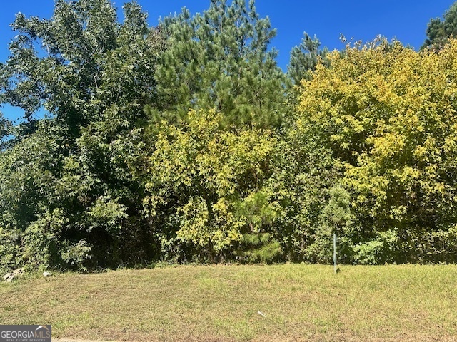 a view of yard with large trees