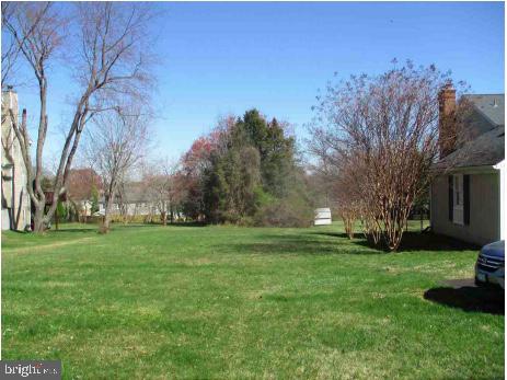 a view of a backyard with large trees