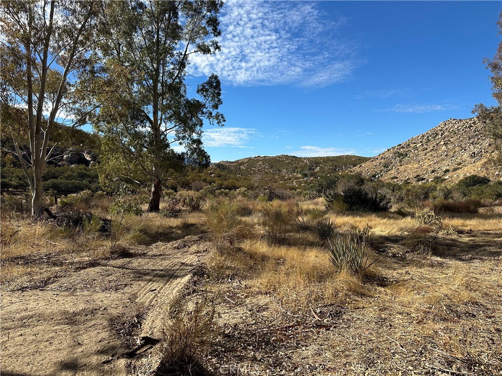 a view of a dry yard with lots of bushes