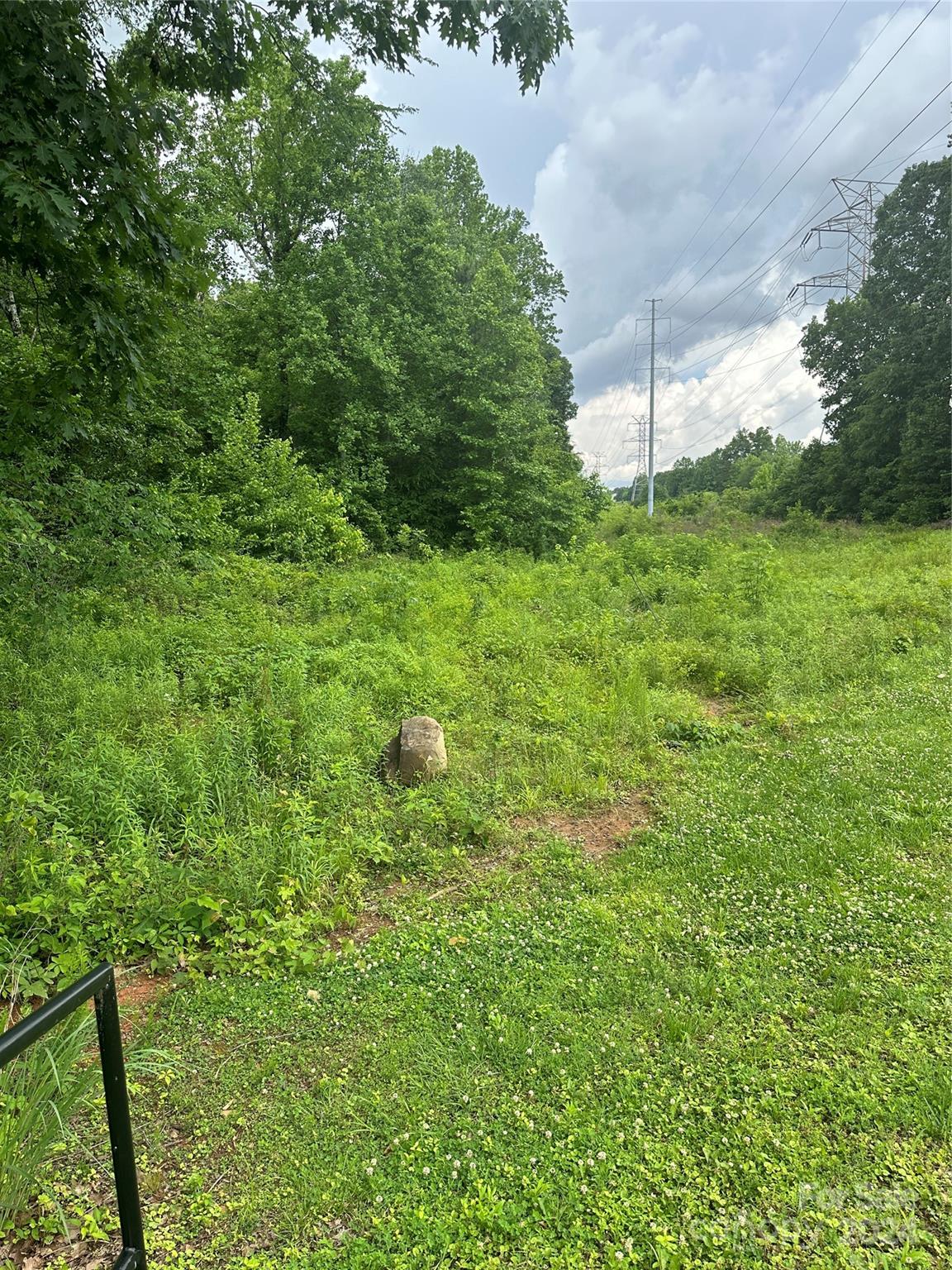 a view of a lush green yard