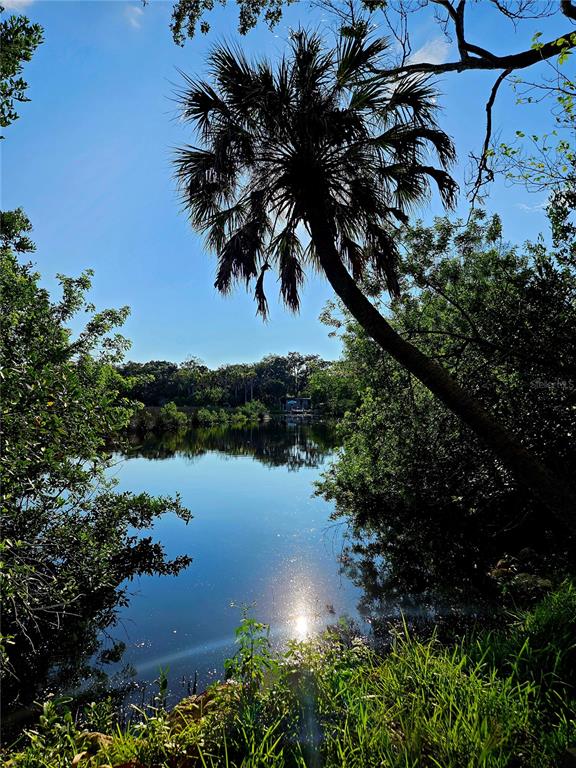 a view of lake with green space