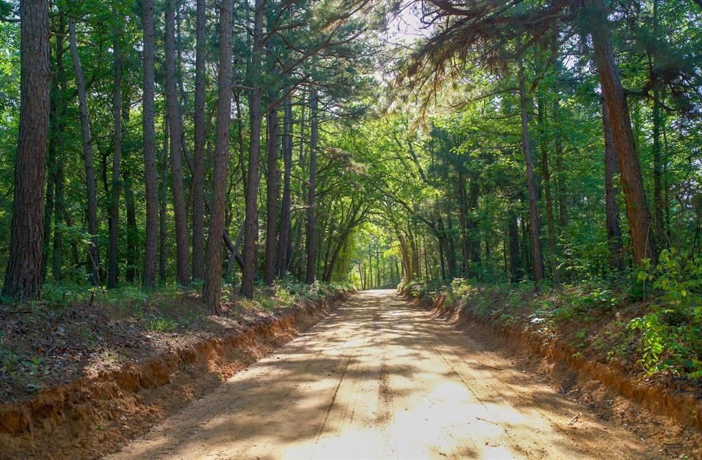 a view of outdoor space with trees