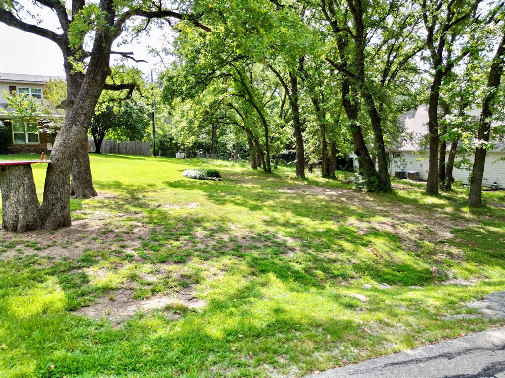 a view of a yard with a tree