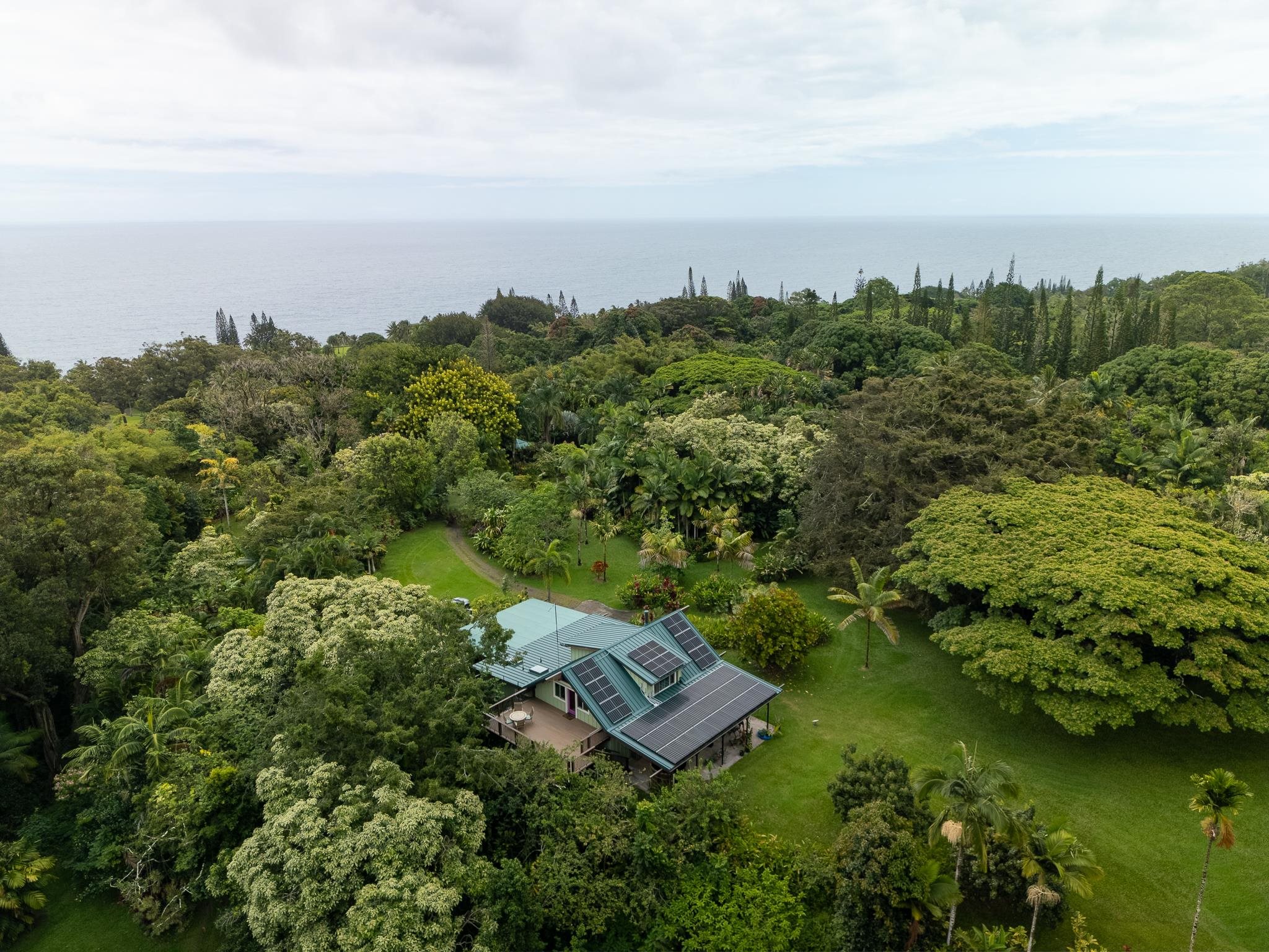 an aerial view of a residential houses with outdoor space and trees all around