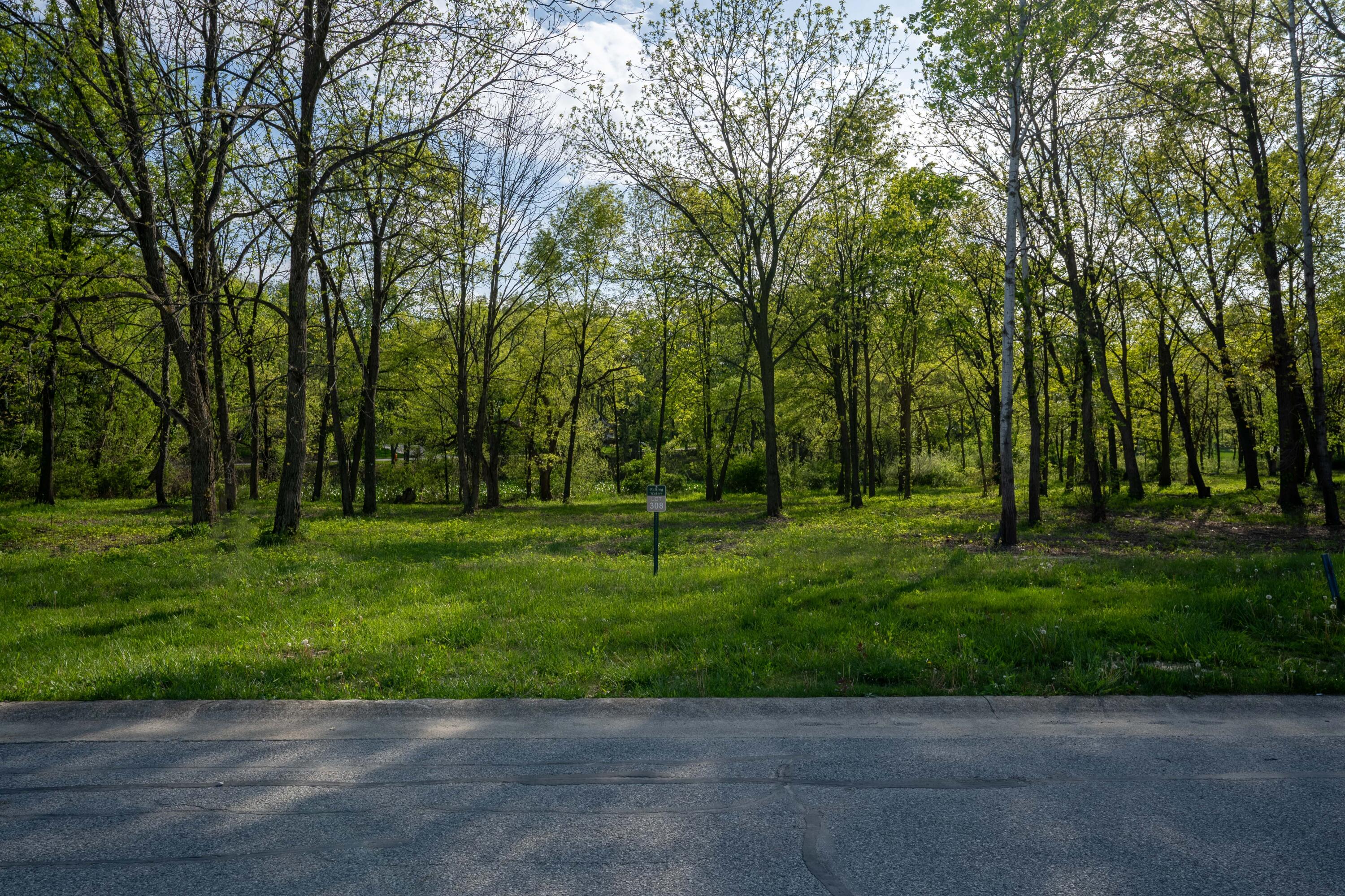 a view of a park with large trees