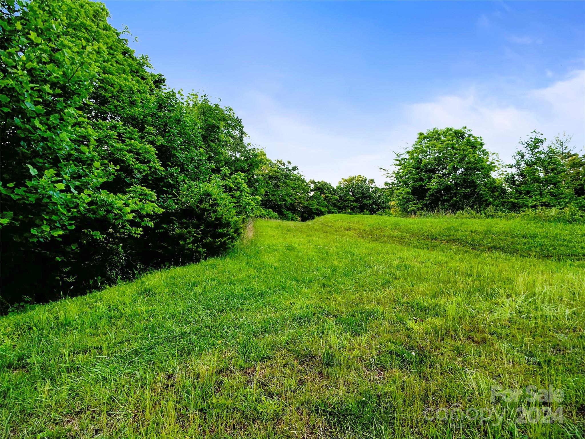 a view of a garden with a tree in the background