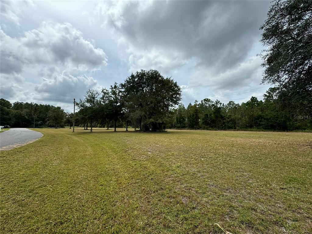 a view of outdoor space and yard