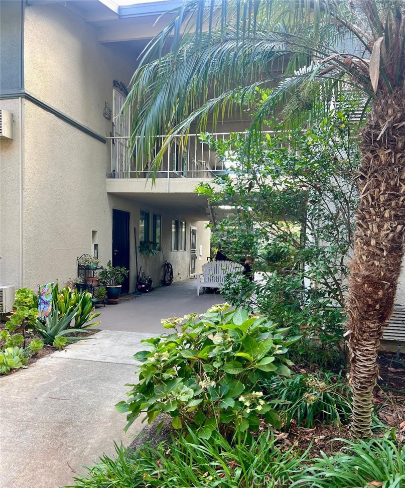 a view of a house with a yard and plants