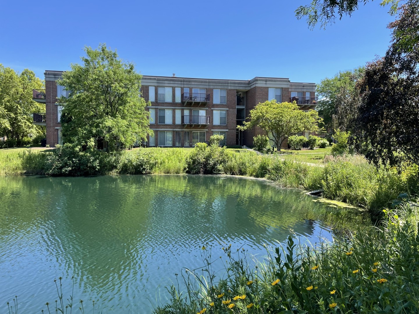 a view of a lake with a building in the background