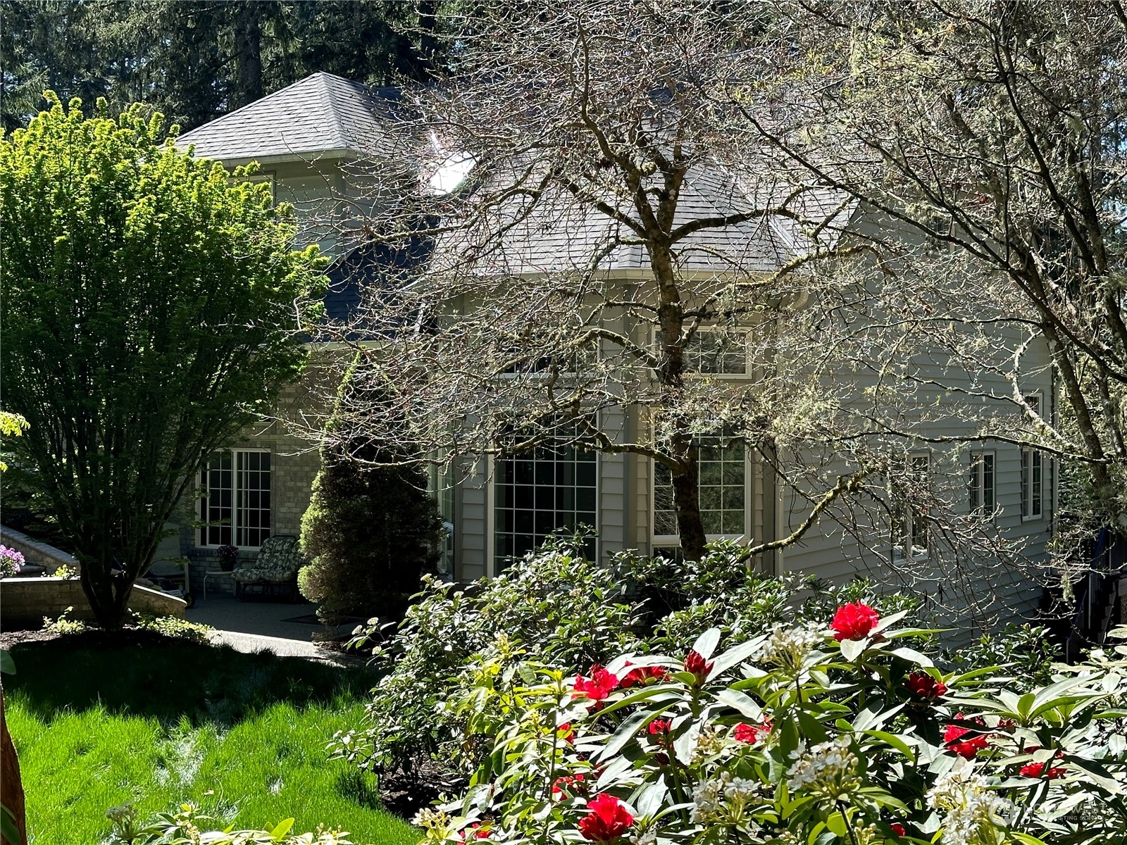 a backyard of a house with lots of green space and trees