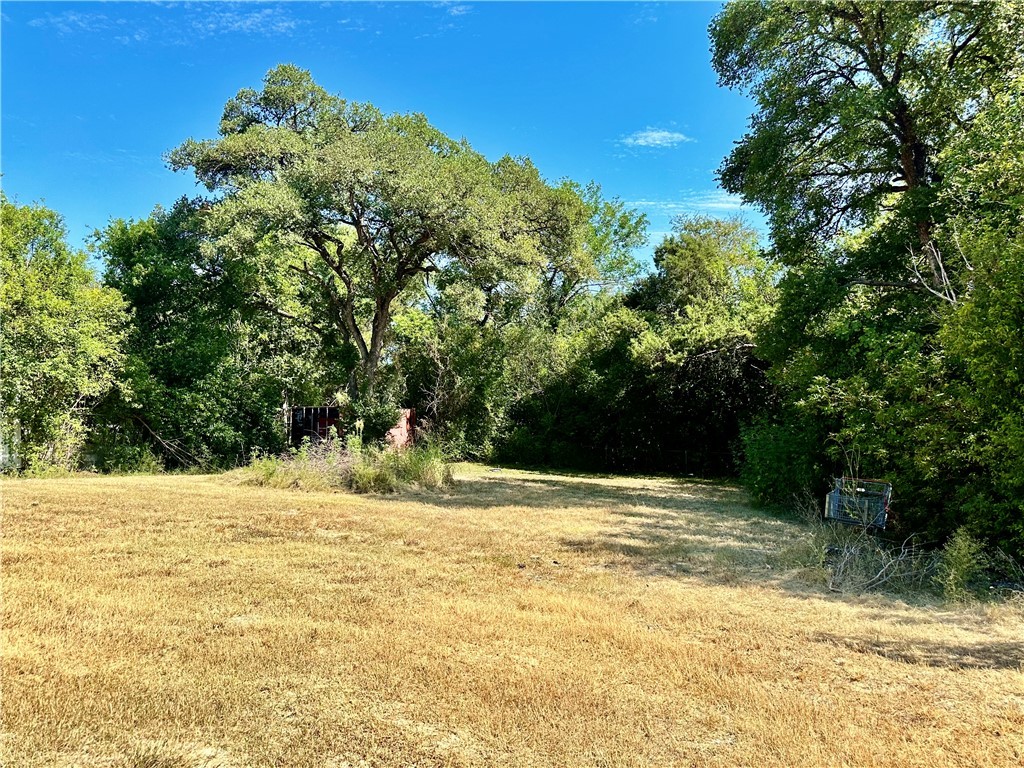 a view of a yard with trees