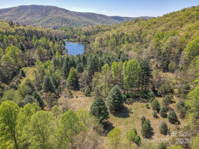 $1,425,000 | 0 Davey Branch Road | Mills River Township - Henderson County