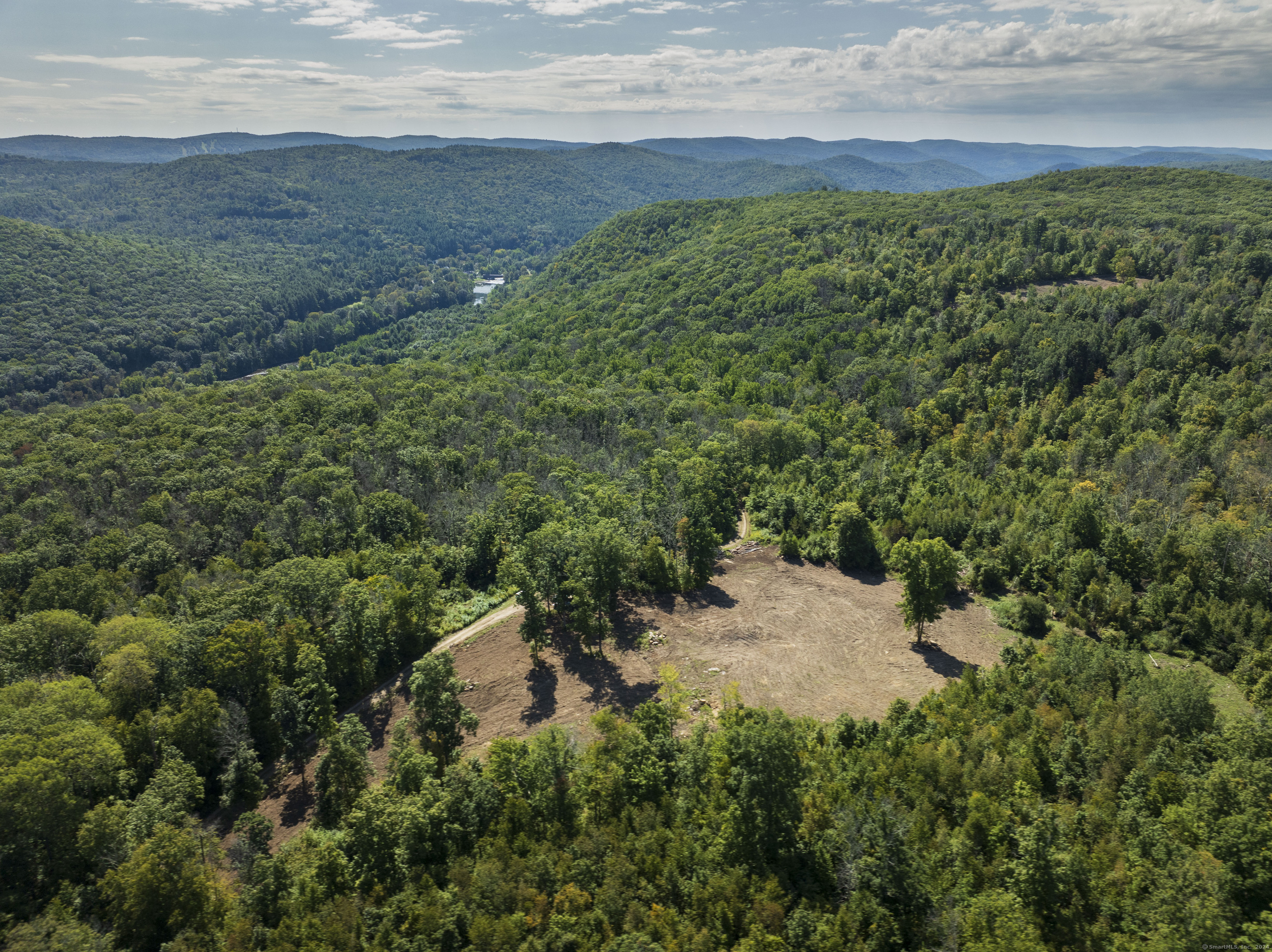 an aerial view of green landscape with trees houses and mountain view