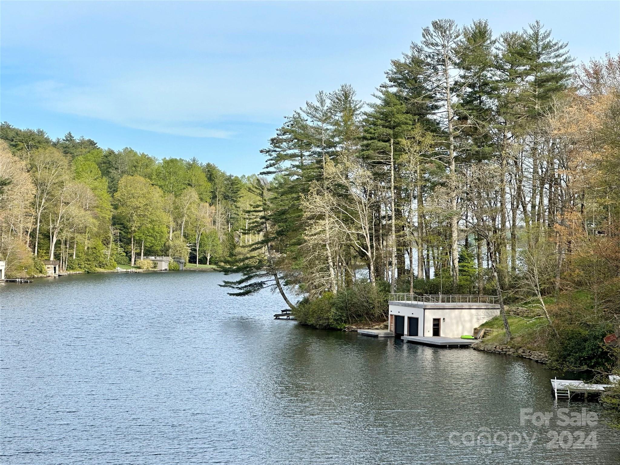 a view of a lake with trees