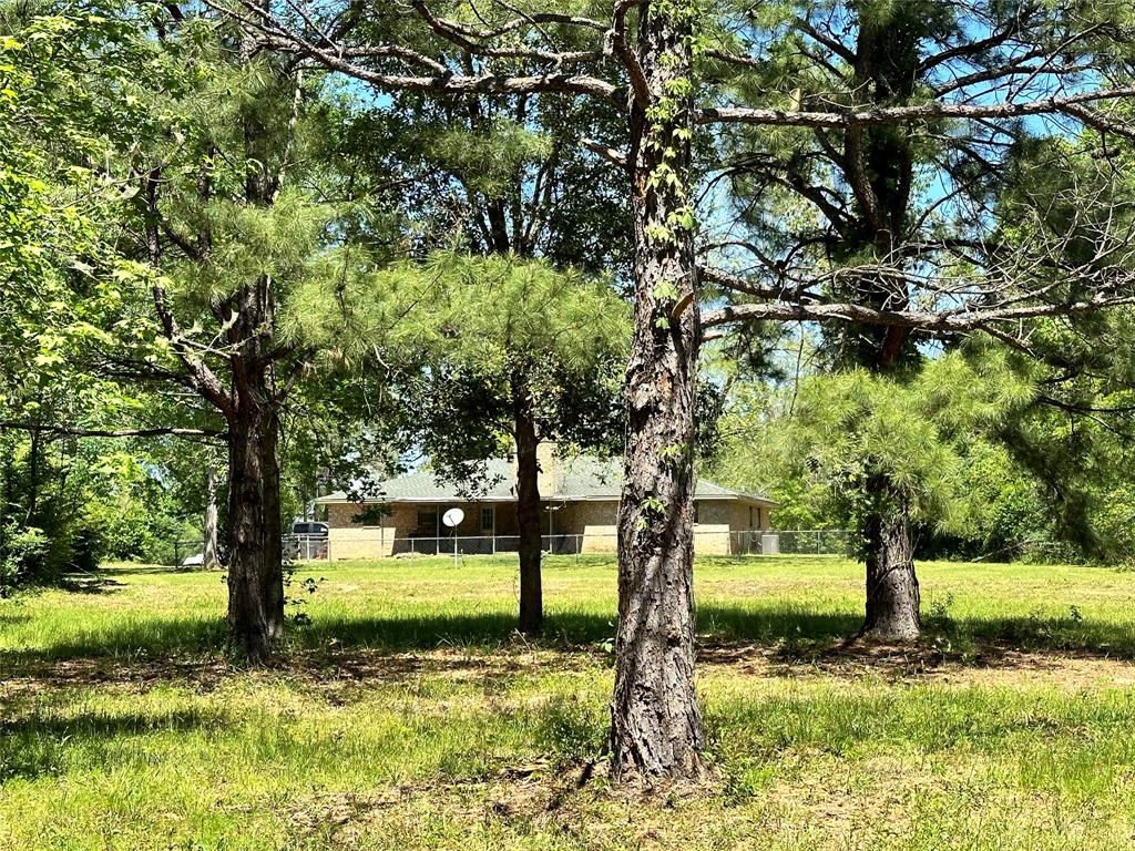 a view of a yard with large trees