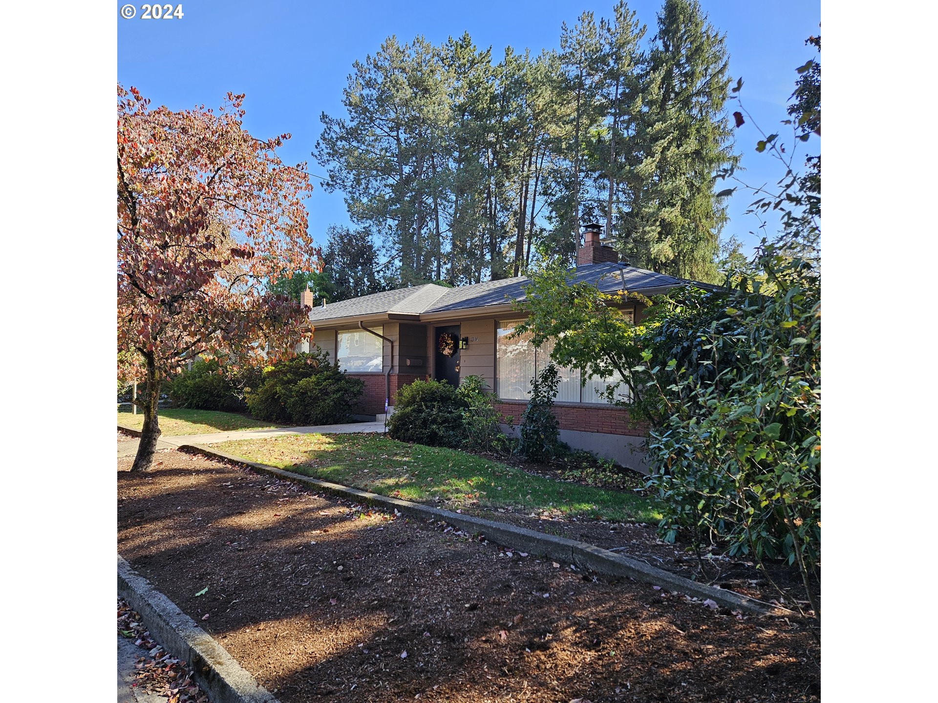 a view of a yard in front of a house with plants and large trees