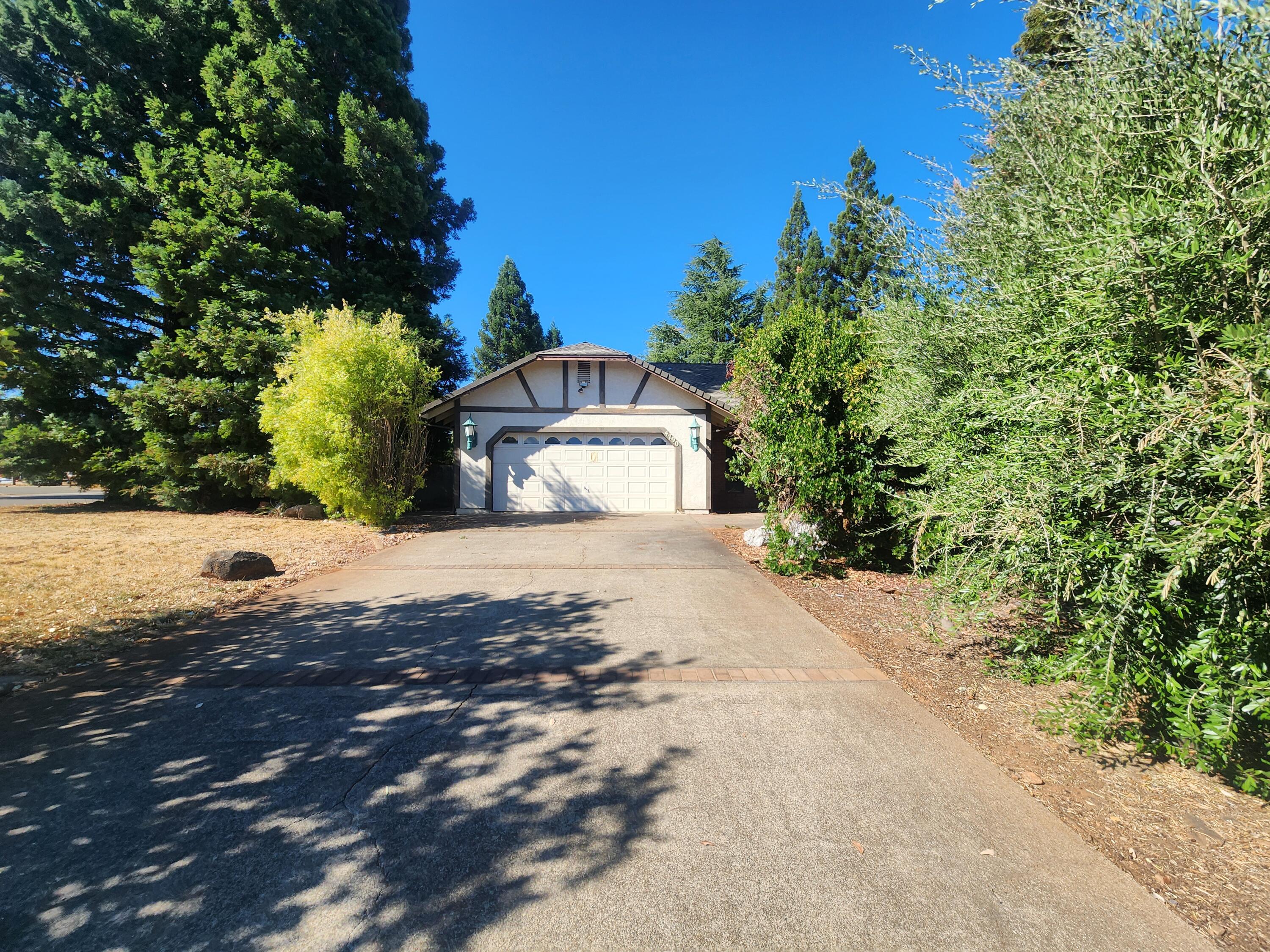 a view of a yard with plants and trees