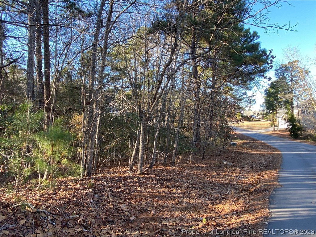 a view of a yard with plants and trees